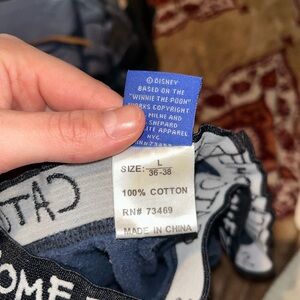 Vintage Disney Winnie the Pooh Apparel Shorts